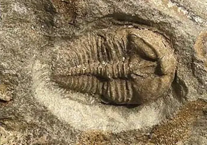 Křivoklátskem za Barrandem a obrozenci