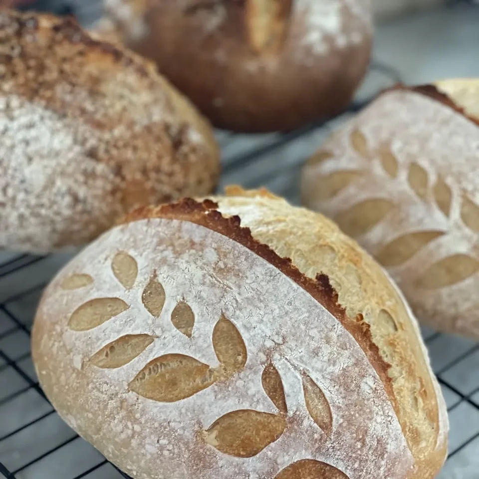 Dough Mama Pop Up Bakery