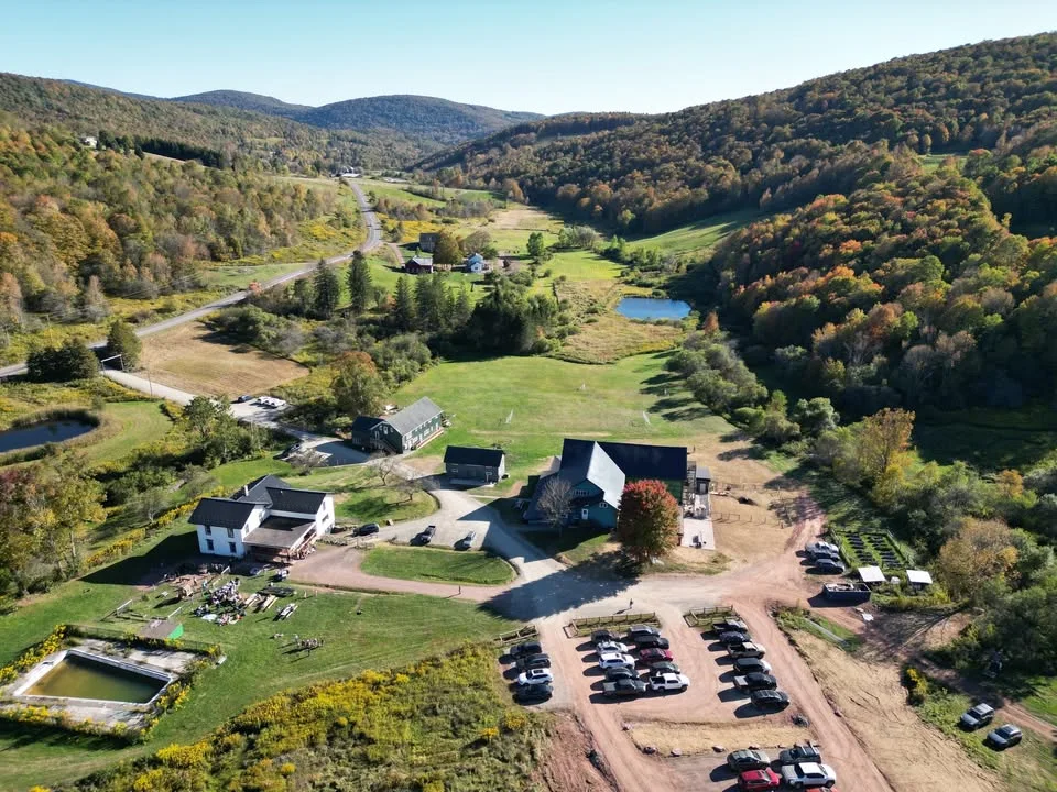 2026 Pink Street Festival