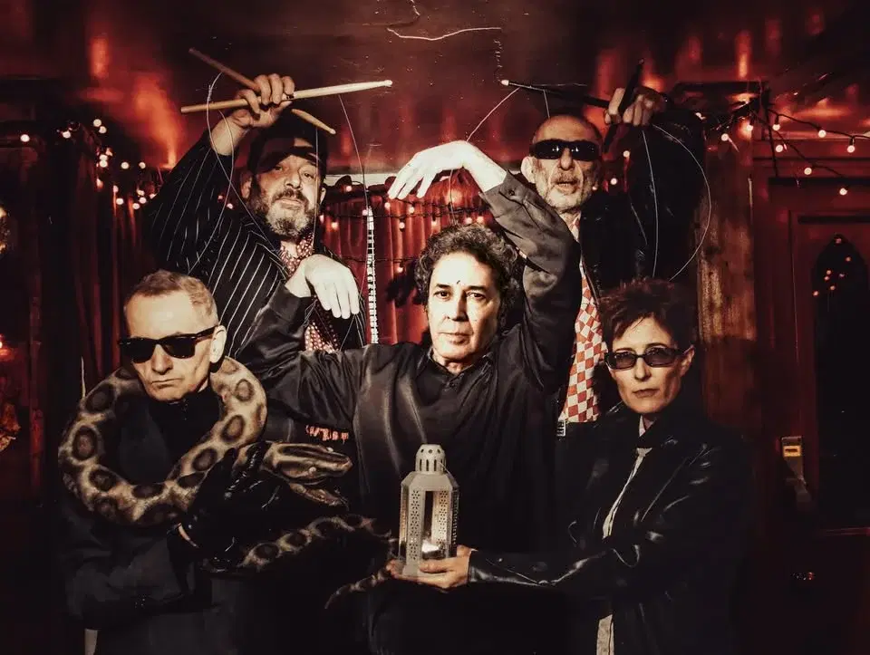 The Monochrome Set + Dan O'Farrell + Fake Empire, Kola, Southsea/Portsmouth,