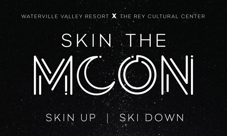 Skin The Moon