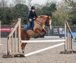 🌟 UNAFFILIATED SHOWJUMPING & DRESSAGE 🌟