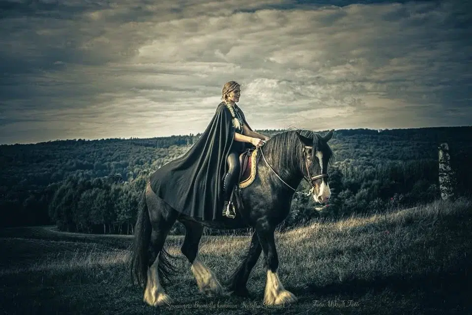 Gudahagens Vikingamarknad 2026