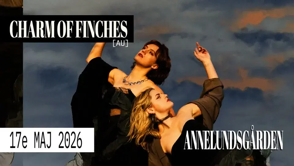 Charm of Finches (AU) | Annelundsgården