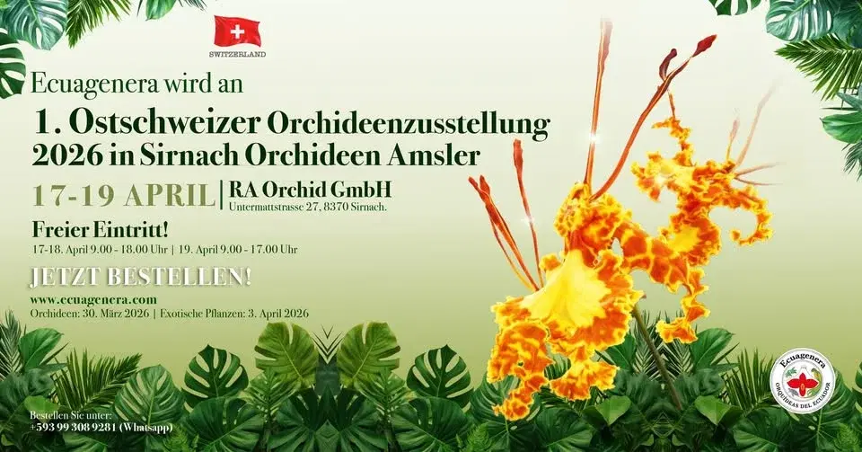 Ecuagenera wird an 1. Ostschweizer Orchideenzusstellung 2026 in Sirnach - Orchideen Amsler