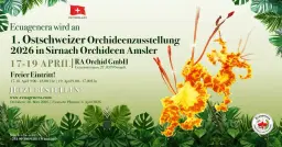 Ecuagenera wird an 1. Ostschweizer Orchideenzusstellung 2026 in Sirnach - Orchideen Amsler