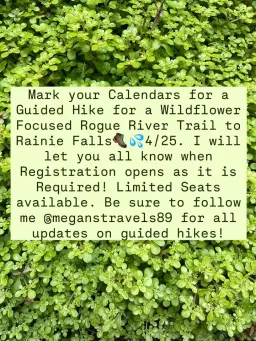 Wildflower Focused Rogue River Trail to Rainie Falls Hike {NOW FULL} *Registration & Fee Required*