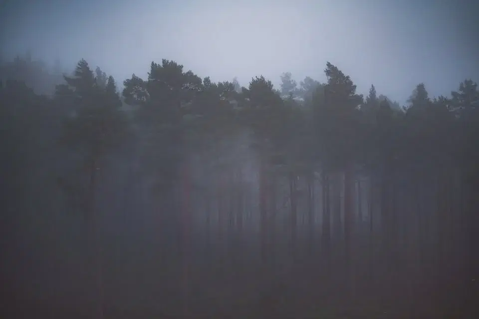 Rävarundan 2023-2025