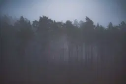 Rävarundan 2023-2025