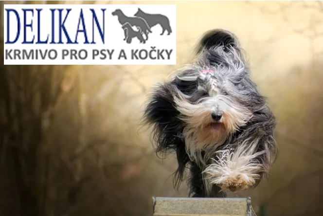 XIV. Hanická Skočka s firmou DELIKAN