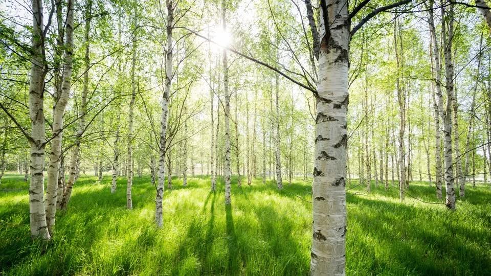 Existentiella teman i vår tid – Beroende