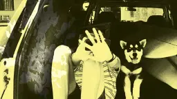 Throwing Muses: Moonlight Concessions