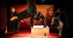 Malmö Scenfest: Danslördag: Honey Honey