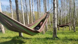 Besøgsbondegård. ALLE Lørdage