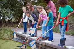 Pond Dipping - May half term