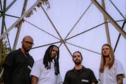 The OBGMs, The Effens, BANEZEAN