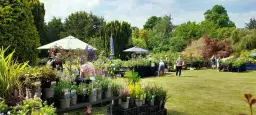 Rare Plant Fair, Waterperry Gardens, Nr. Oxford