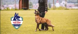 FCI Individual SAR dog World Championship 2026 Slovenia