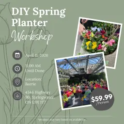Ticket: DIY Spring Planter Workshop (Barrie Location)
