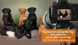 Arken Zoo Stockholm Sollentuna Häggvik - Kostnadsfri djur-, barn- och familjefotografering