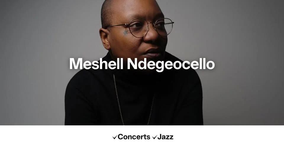 Meshell Ndegeocello