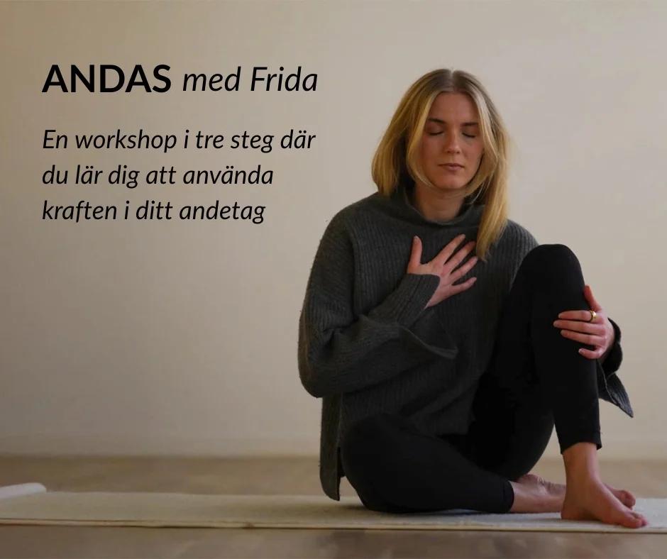 ANDAS med Frida - workshop #1