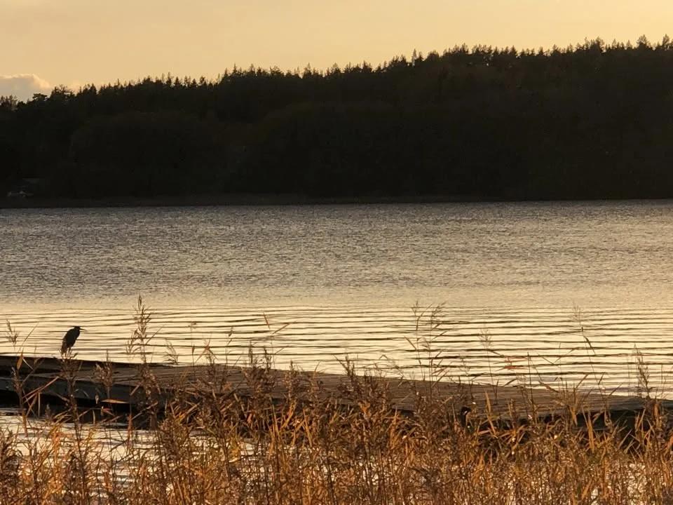Årsmöte 2026