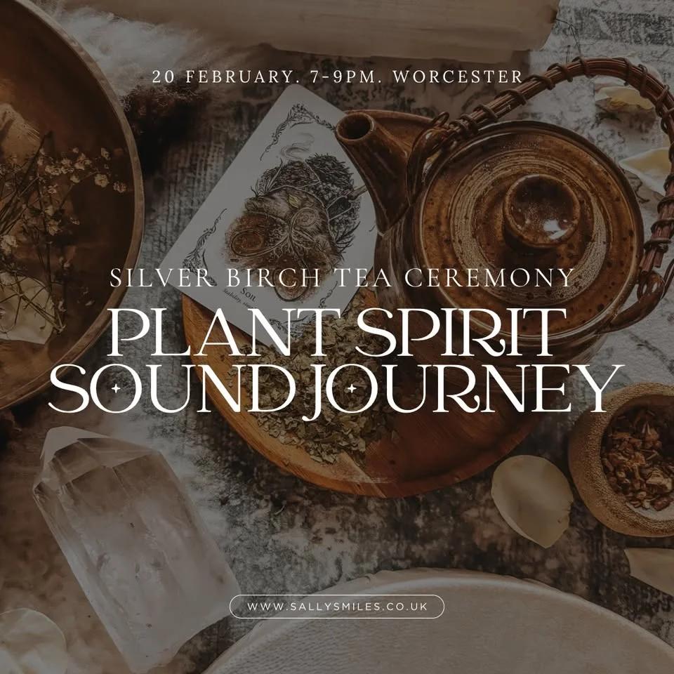 Silver Birch Plant Spirit Sound Journey