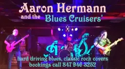 Aaron Hermann and the blues cruisers @ Cudas sat March 28!!!