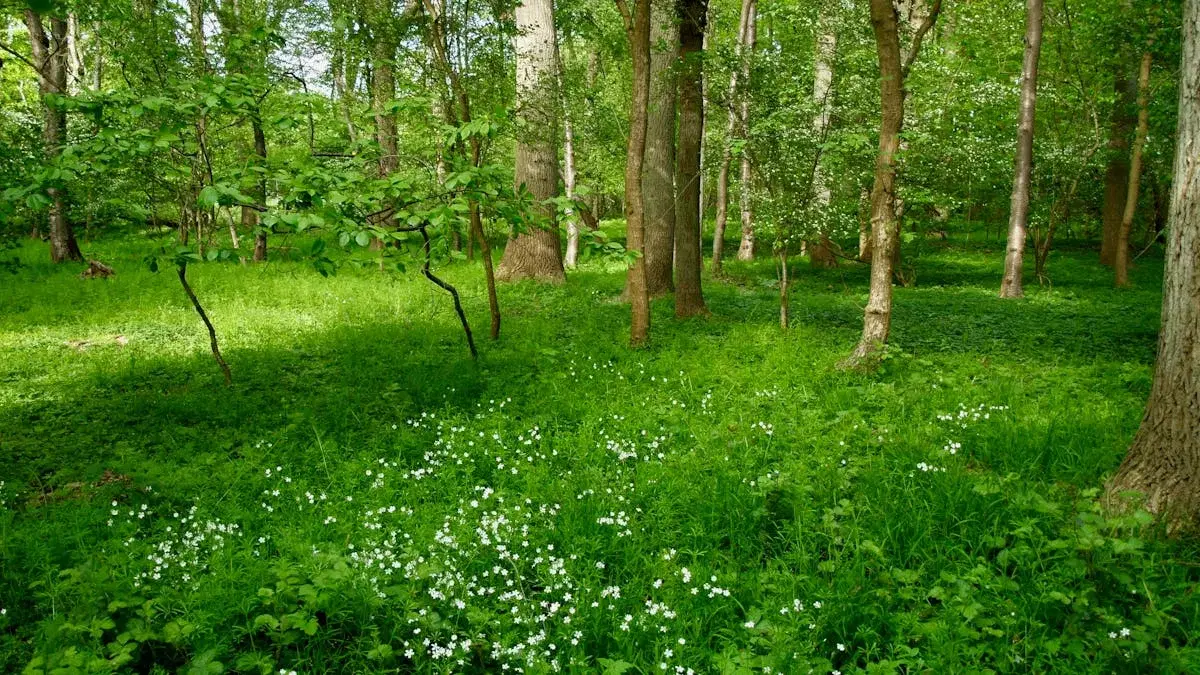 Sanketur ved Furesøen i Holte