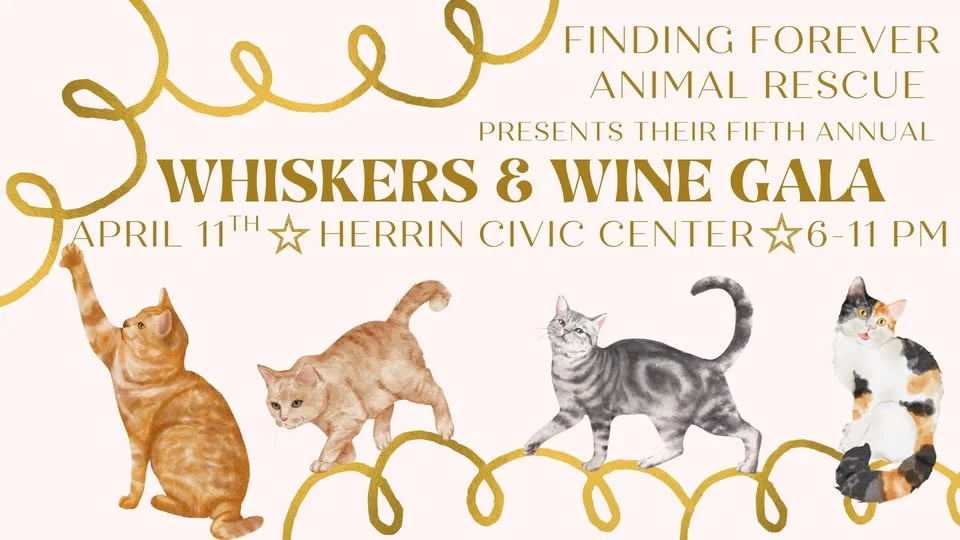 Whiskers & Wine Gala to support Finding Forever Animal Rescue