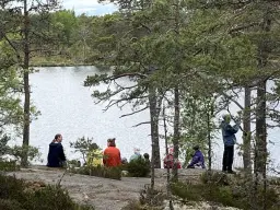 Norrländska vibbar vid Långviksträsk