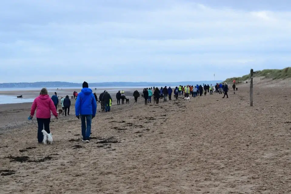 Almost Home Easter Pack Walk