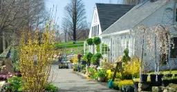 Spring 2026 Opening Weekend