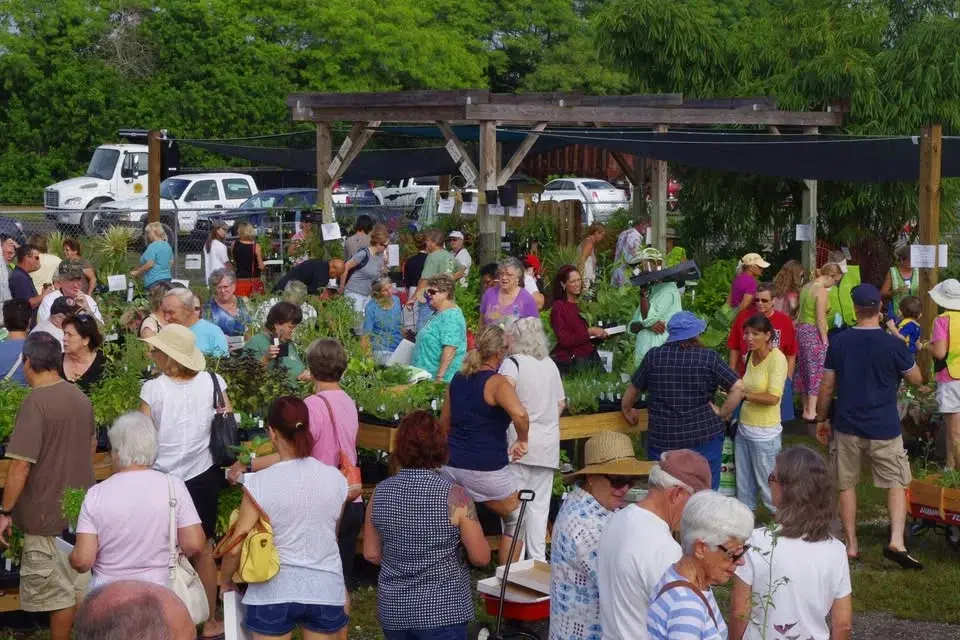 Brevard Discovery Garden 4th Annual Spring Fling