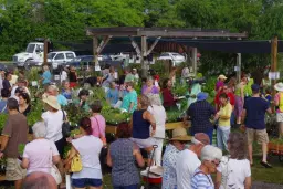 Brevard Discovery Garden 4th Annual Spring Fling