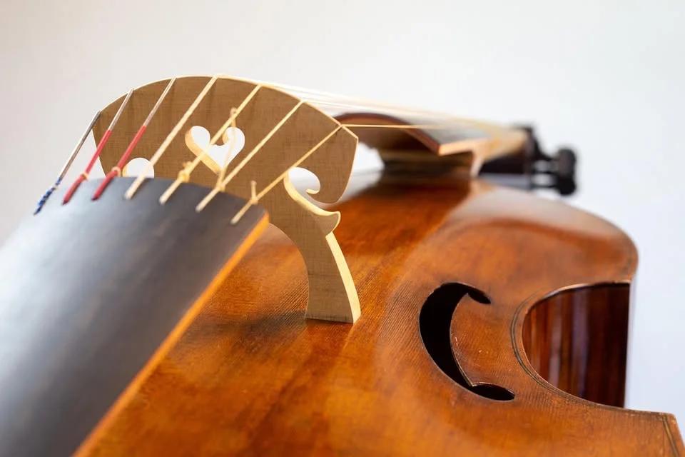 Middagsbön och Lunchmusik: Viola/piano