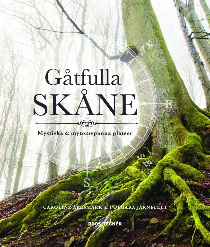 Föredrag och bussresa: Gåtfulla Skåne