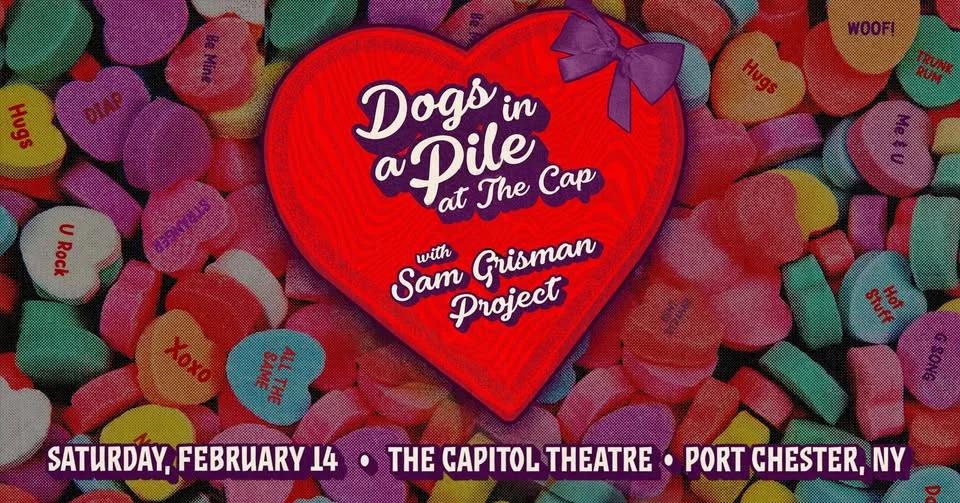 Dogs In A Pile w/ Sam Grisman Project