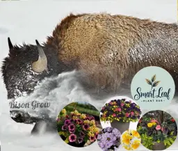 DIY/ Pop- up Container Gardening