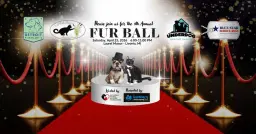 9th Annual Fur Ball