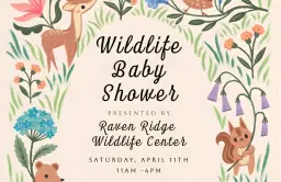 Wildlife Baby Shower!