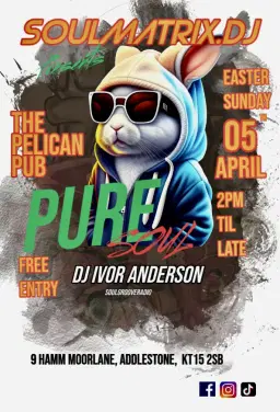 Pure Soul @ The Pelican Pub