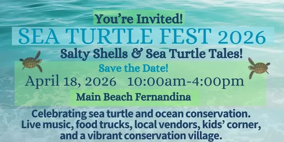 Sea Turtle Festival 2026