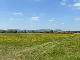 Upton upon Severn Folk Festival