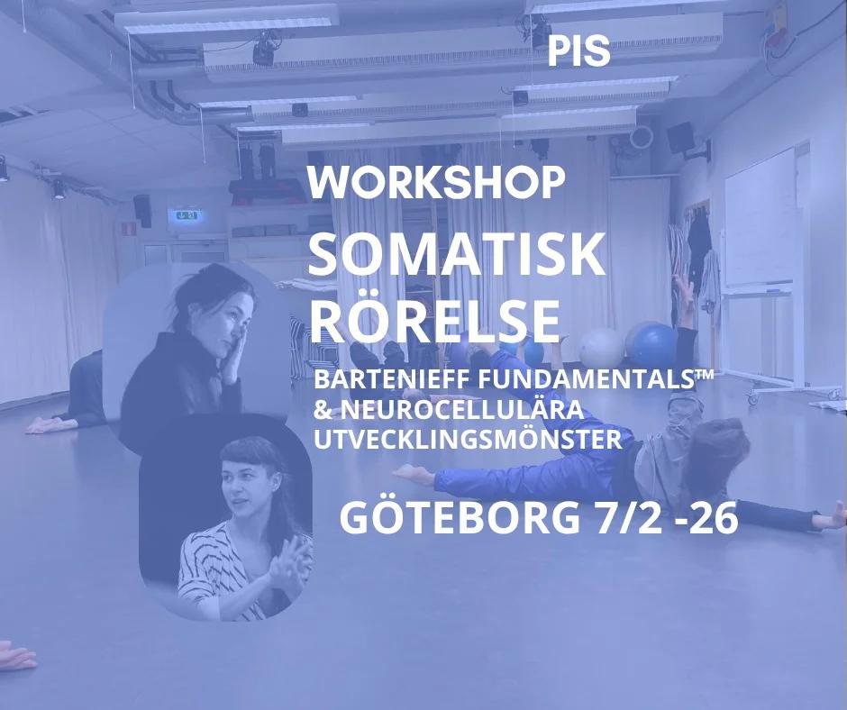 7/2 SOMATISK RÖRELSE med Bartenieff fundamentals™ och neurocellulära utvecklingsmönster