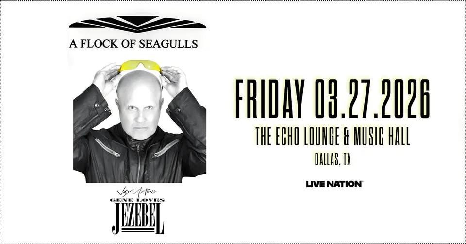 A Flock of Seagulls