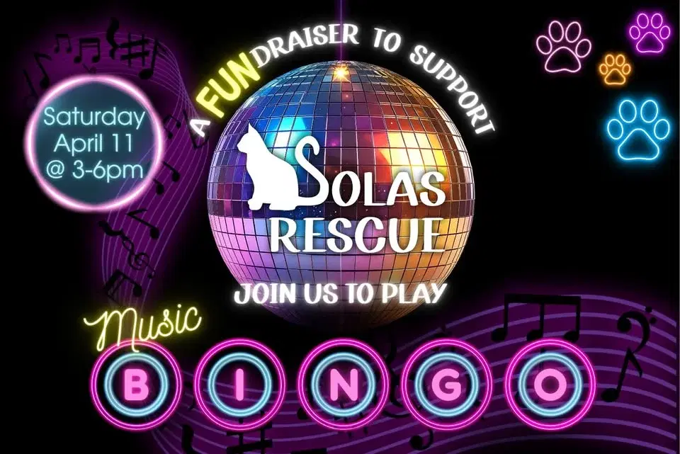 Solas Rescue Presents -MUSIC BINGO