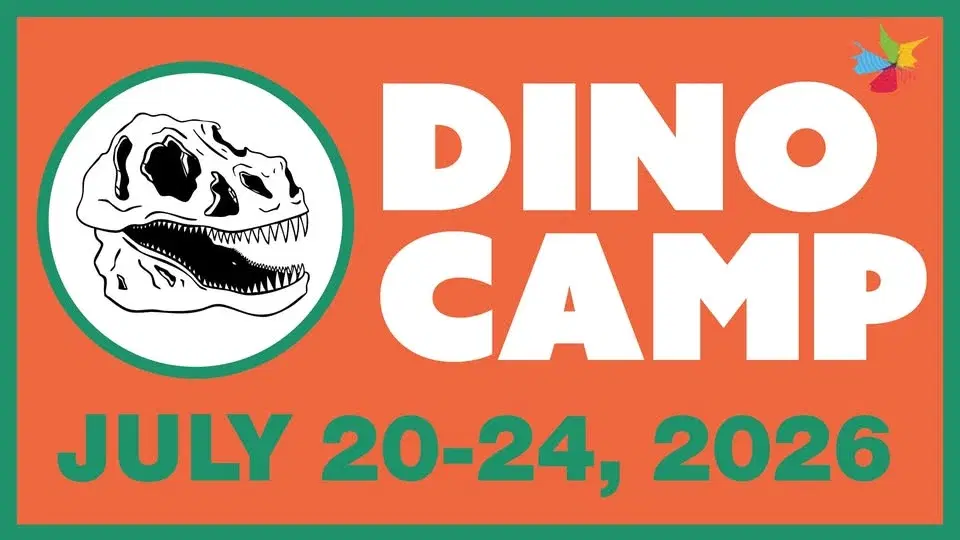Dino Camp