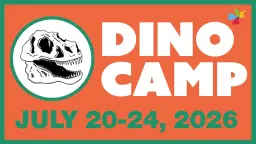 Dino Camp